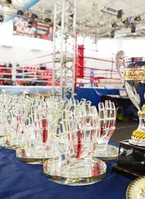 I Всероссийский турнир по боксу класса «А» памяти Андрея Андреева. Итоги.