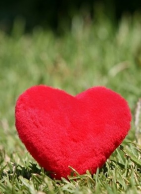 "Сектор добра" на футбольном стадионе "Фишт"